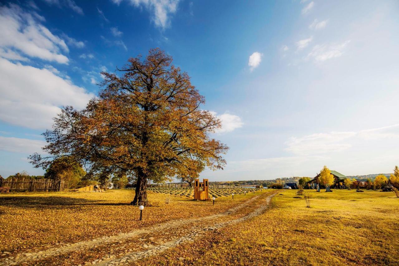 Country House Domik V Derevne Markovtsy  Экстерьер фото